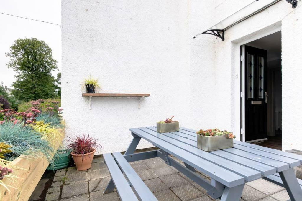 54 Buchanan Gardens سانت أندروز المظهر الخارجي الصورة